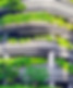 Sustain City.jpeg